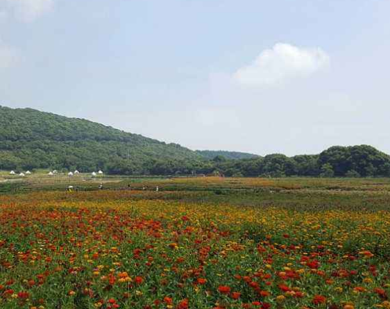 内蒙古大青山,优雅别致美丽无限的景色让人流连忘返!青山白云.