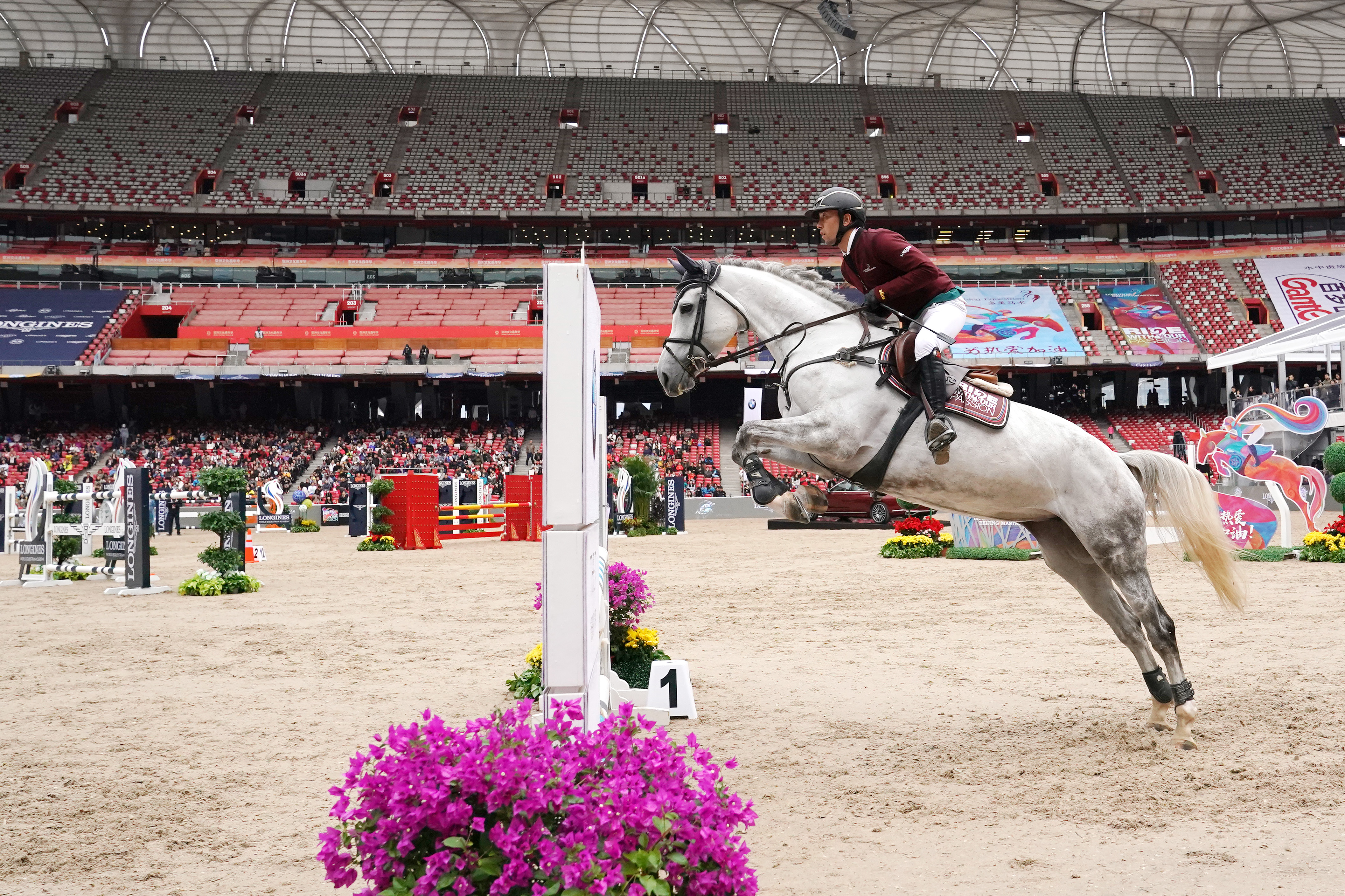 马术——鸟巢观赛马(2)