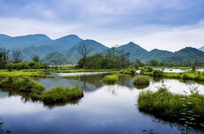 欣赏一组神农架大九湖景区的图片,大九湖景区风景清新自然.