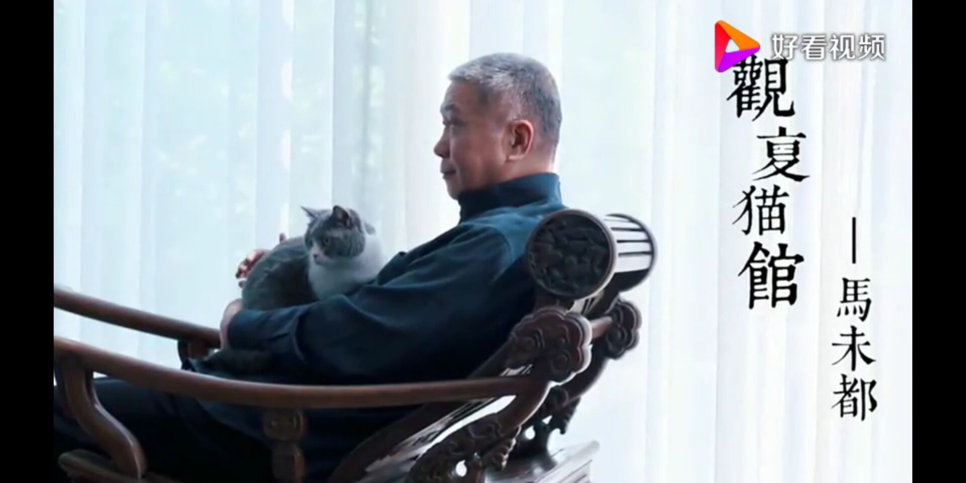 马未都:观复博物馆里的猫比人都幸福,前方"吸猫"现场