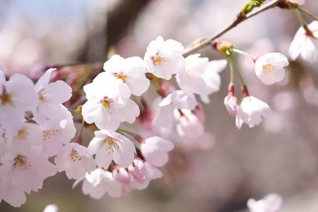 「关注」今天