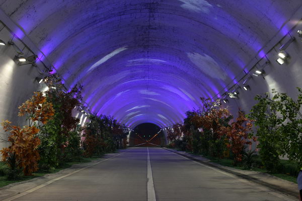 中国一条隧道内"白云绿荫",创下四项世界第一,常年武警把守