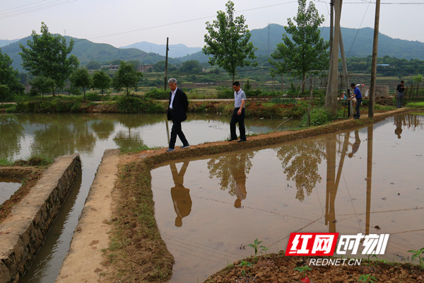 初心点亮童心|钟上元:老有所为 退而不休