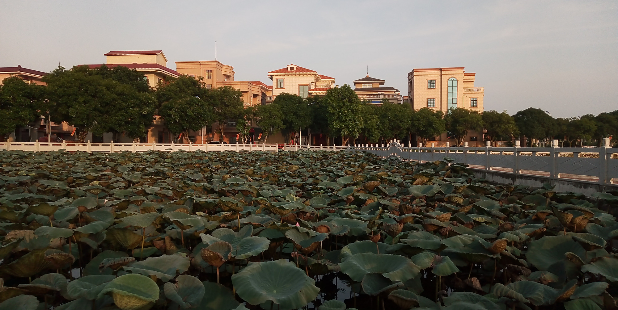 广东吴川市吴阳镇蛤岭村实拍,你们来过这条村吗?
