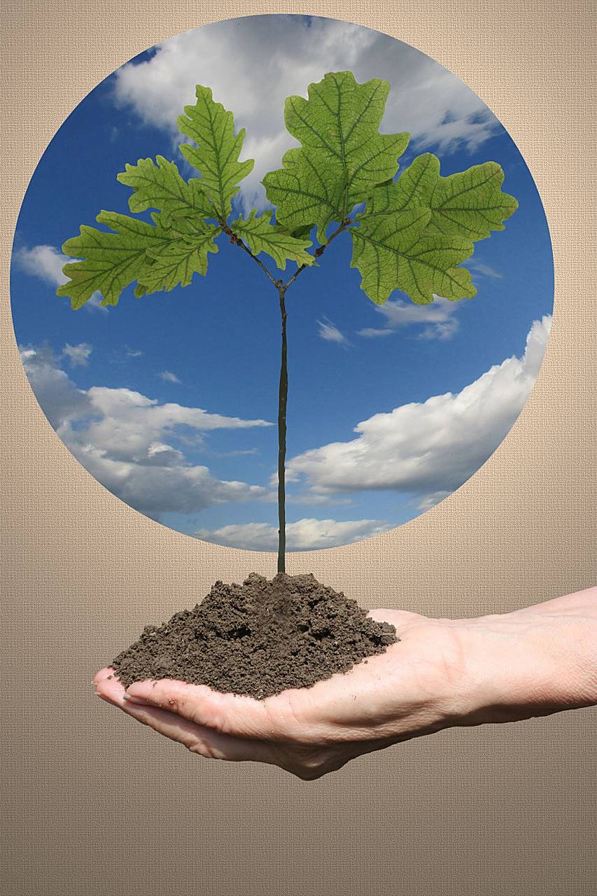 植物保护专业是一个综合性很强的学科,它以植物学,动物学,微生物学