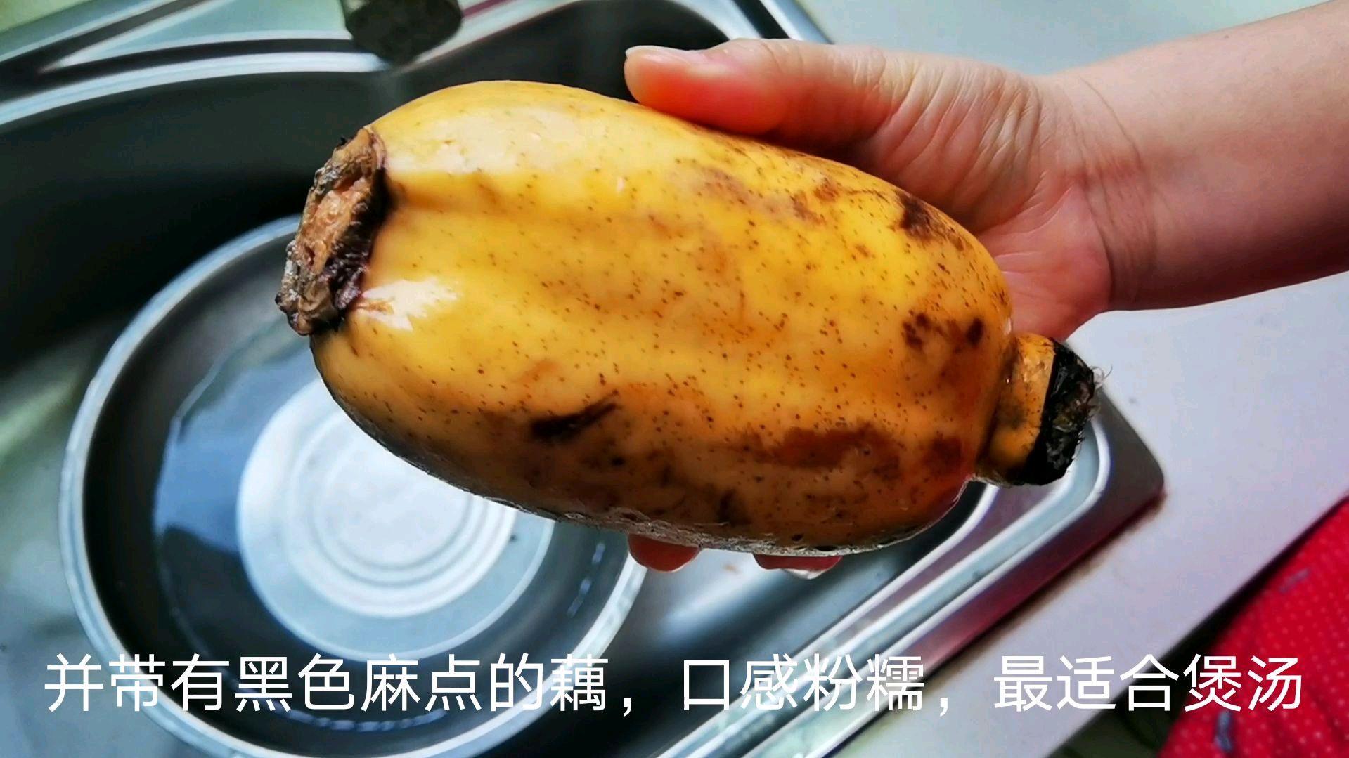 爱喝筒骨莲藕汤的收藏了,试试这样做,清心养胃,3碗喝不够
