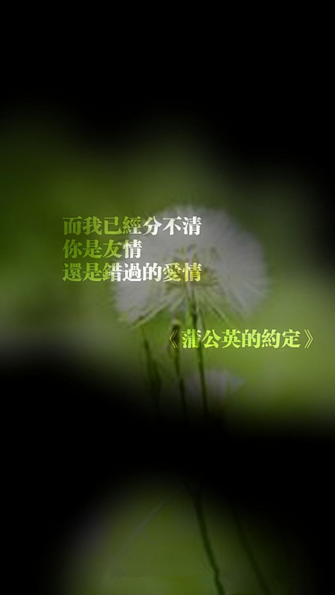 只因时光太动听