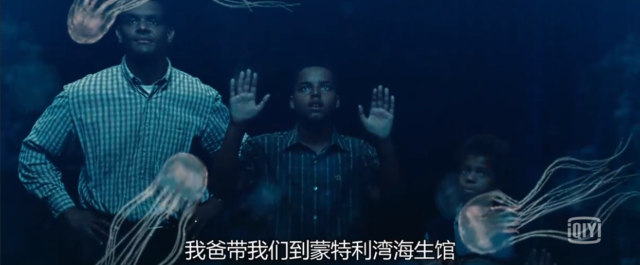 《seven pounds-七磅》:威尔史密斯用生命诠释"七份救赎"