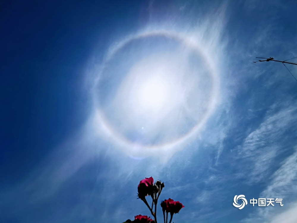 惊艳!南方多地今日出现日晕 一组图片尽览奇观