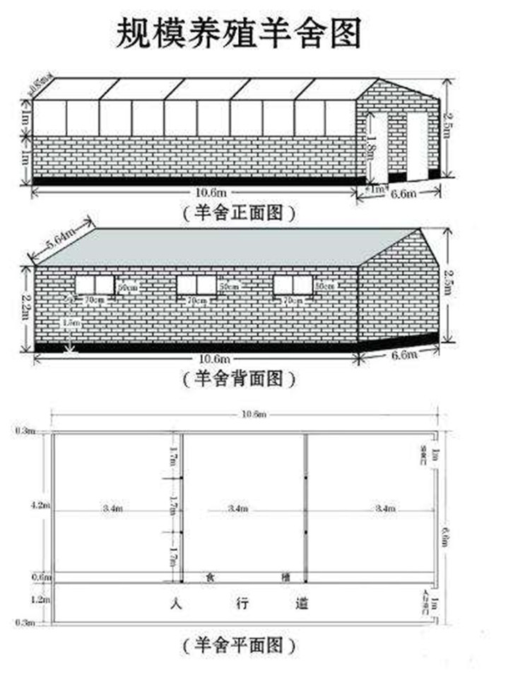 北方严寒地区羊圈舍建造要点