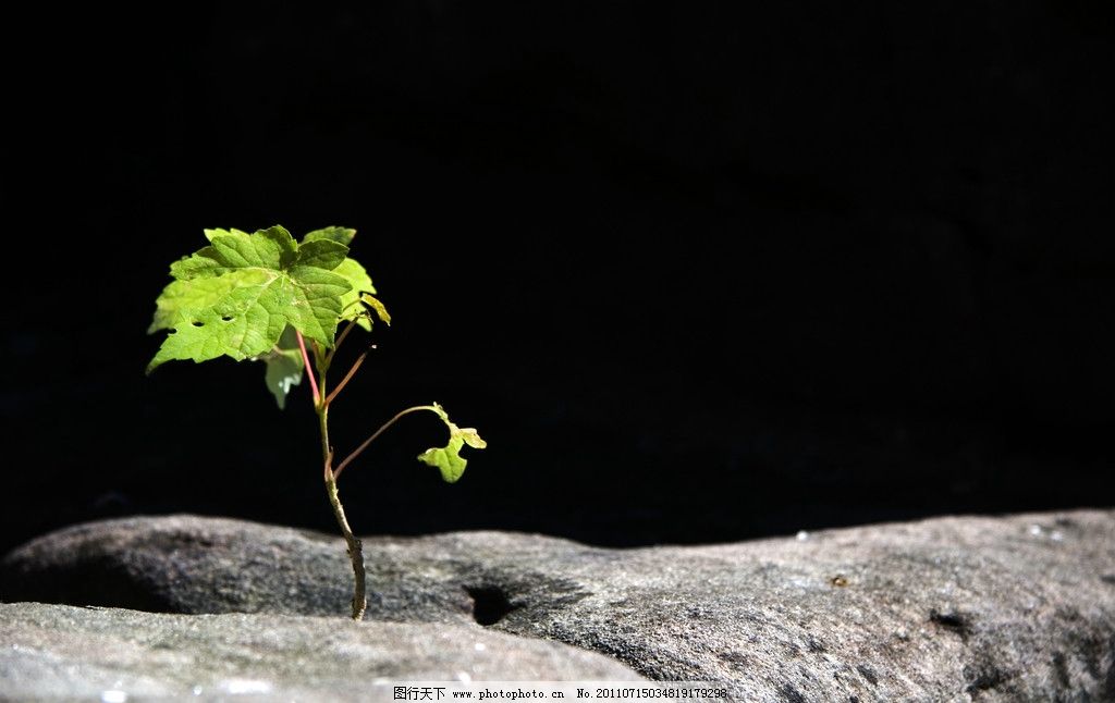 向流星许愿,向蜡烛许愿,向菩萨许愿,向谁许愿更靠谱?