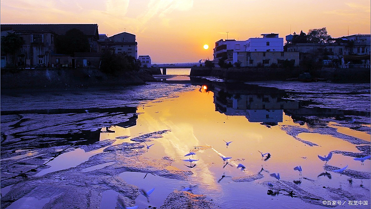沙坡头在宁夏沙坡尾在厦门曾经的渔港现已成为网红打卡地