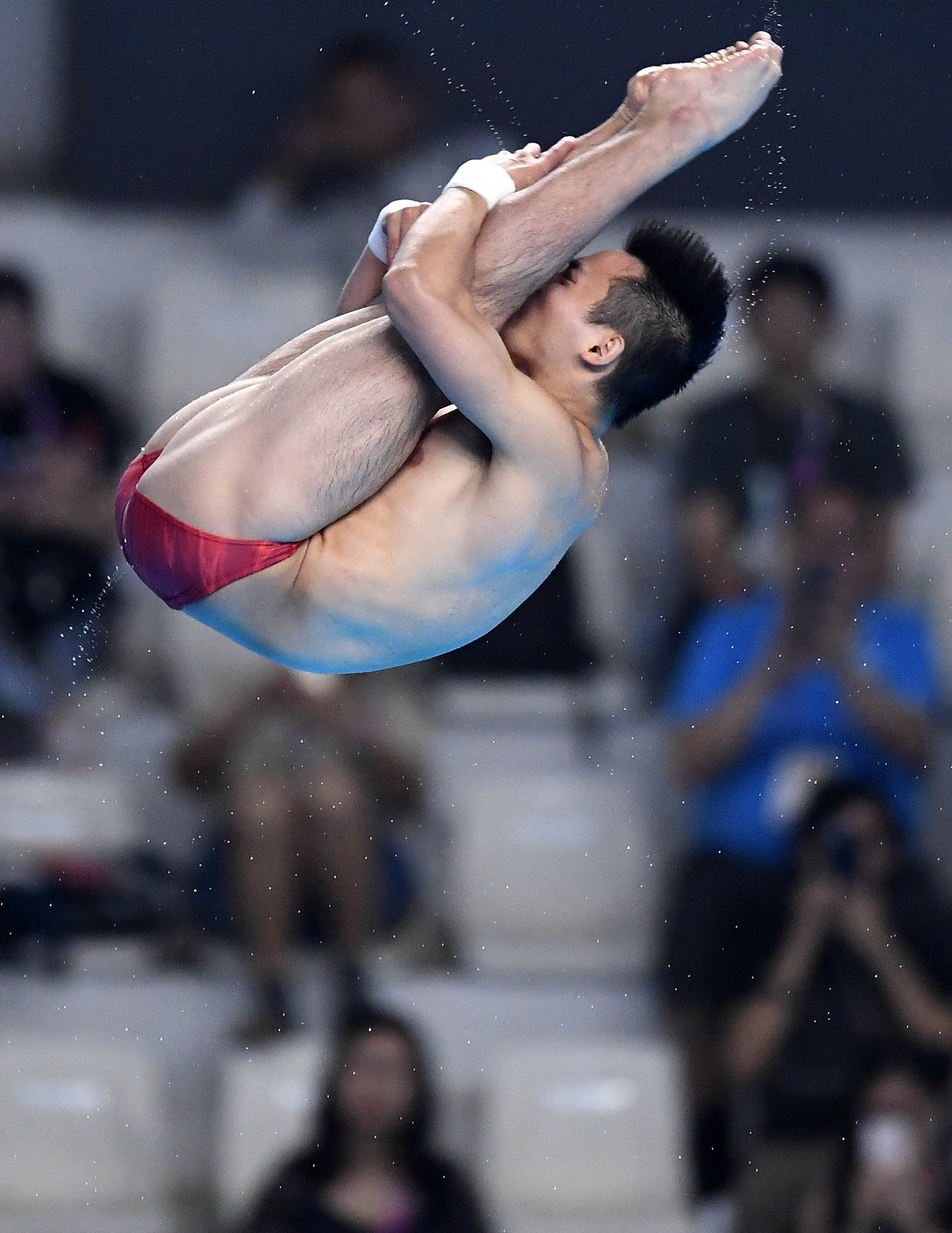 跳水—男子10米跳台:中国选手杨健夺冠(4)