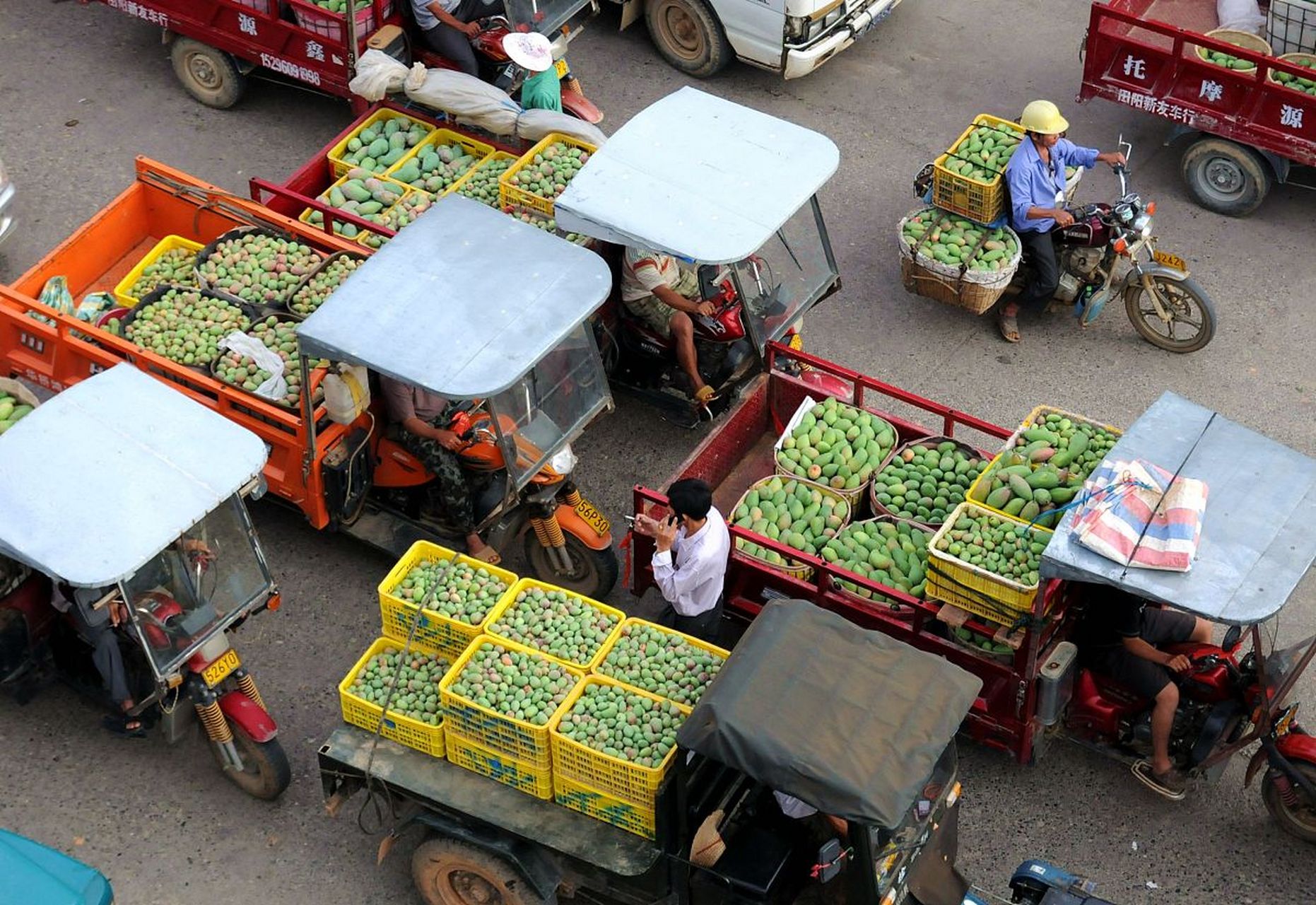 众所周知,中国是一个人口大国,每天消耗的粮食和水果的数字都