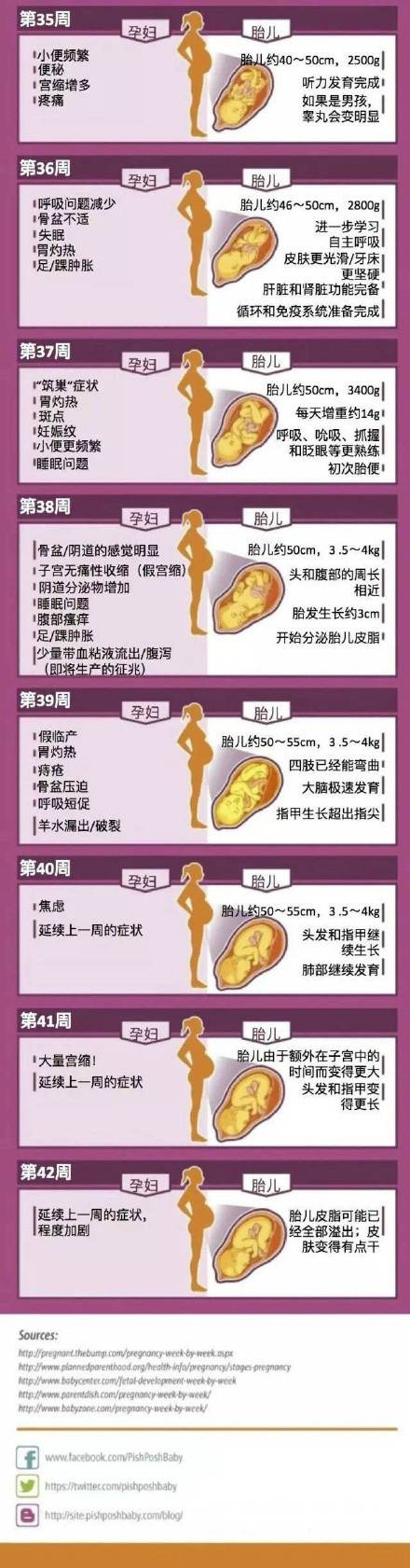 孕妇体型变化图图片