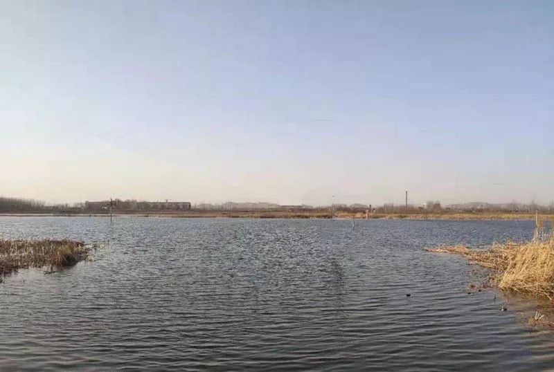 玉田后湖湿地,在这里遇见最初的自己