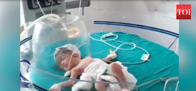 新生婴儿惨遭母亲遗弃，流浪狗从下水道救回一命！身上还包着塑料