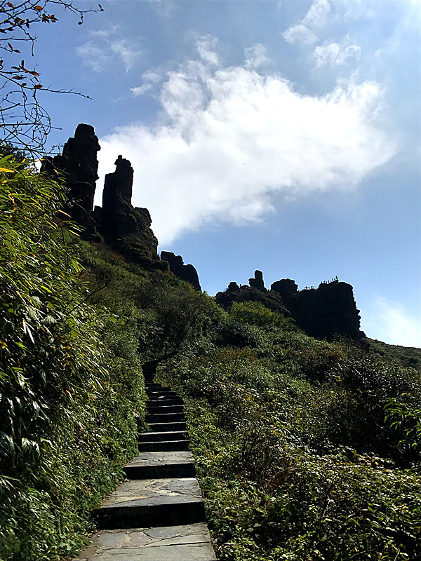 贵州省铜仁市有座梵净山,你知道这里吗?