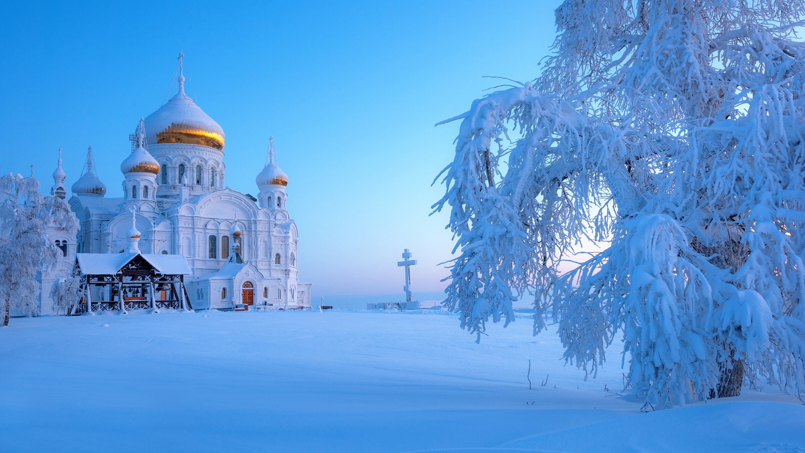 冬天的唯美雪景,高清壁纸,风景电脑高清壁纸