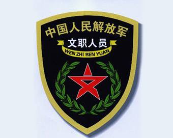 乡镇公务员和军队文职,哪个好,应该怎么选择?