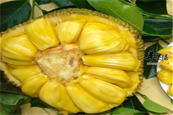 菠萝蜜的功效 吃菠萝蜜能为身体带来这种好处