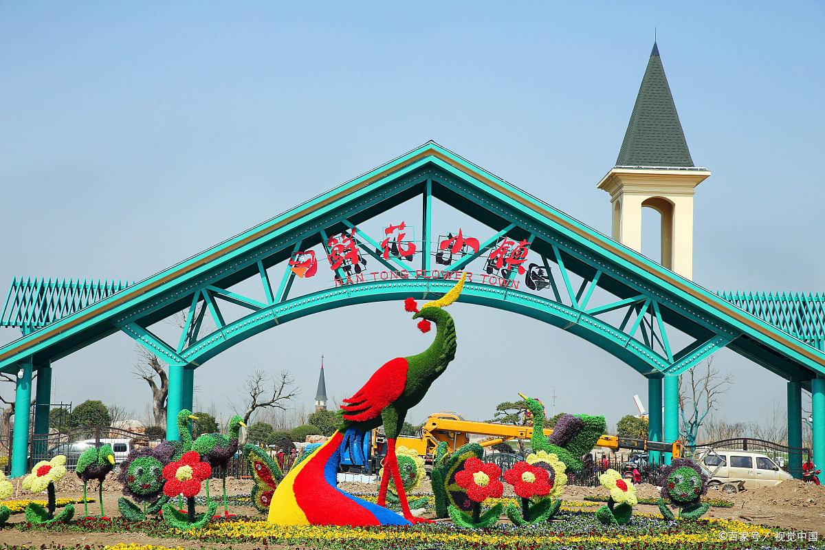 花的海洋,梦的远方-南通鲜花小镇值得一览