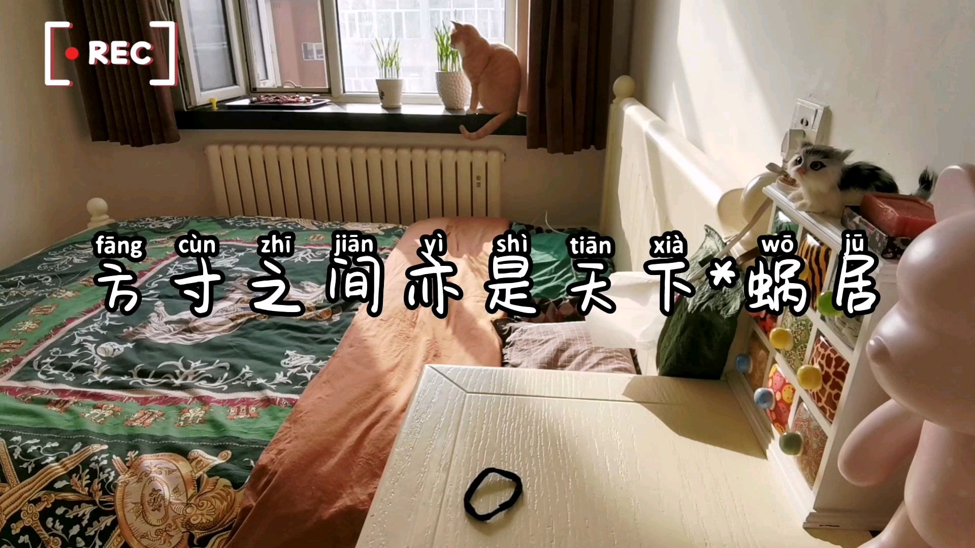 幸福的定义有很多,比如此时平安健康的蜗居,珍惜一切,好好生活