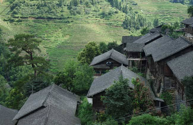 农村致富门路有哪些(农村致富门路什么项目好?)
