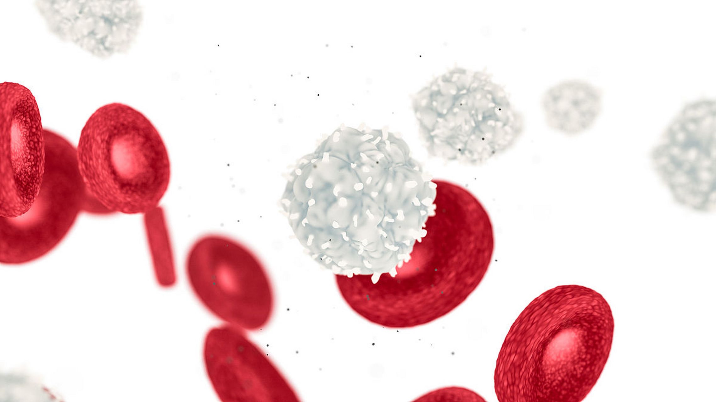 白细胞增高是指血常规中白细胞计数超过正常参考值(通常>10×10^9/l).