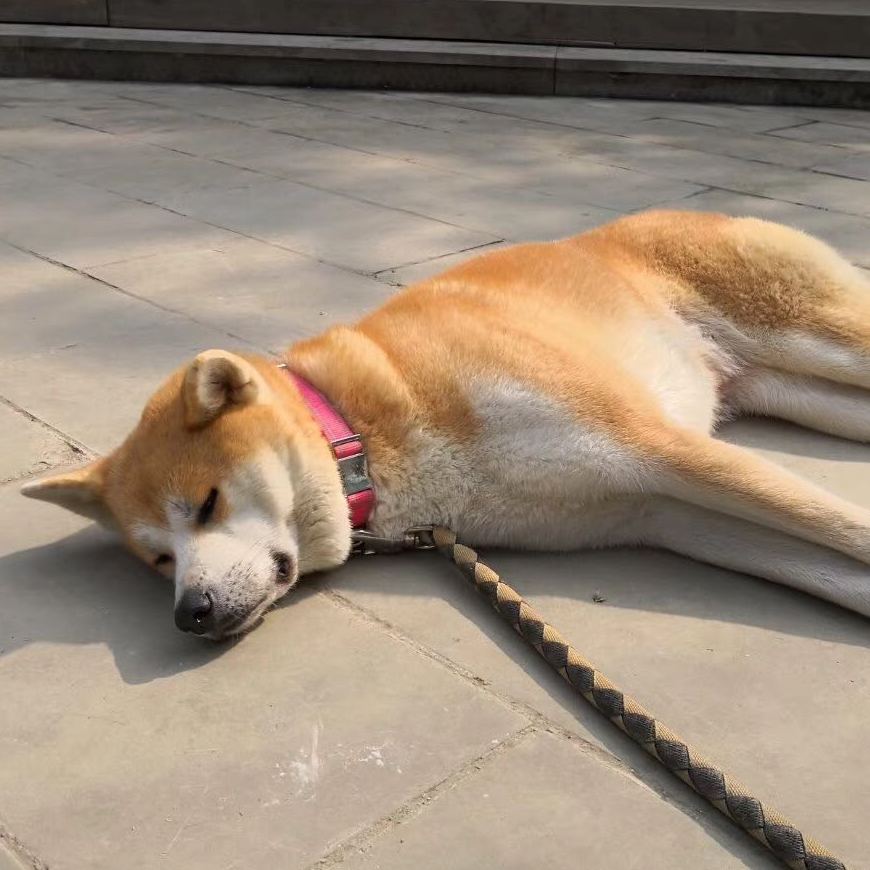 世界上哪有什么老实人,老实人甚至比一般人都狠!