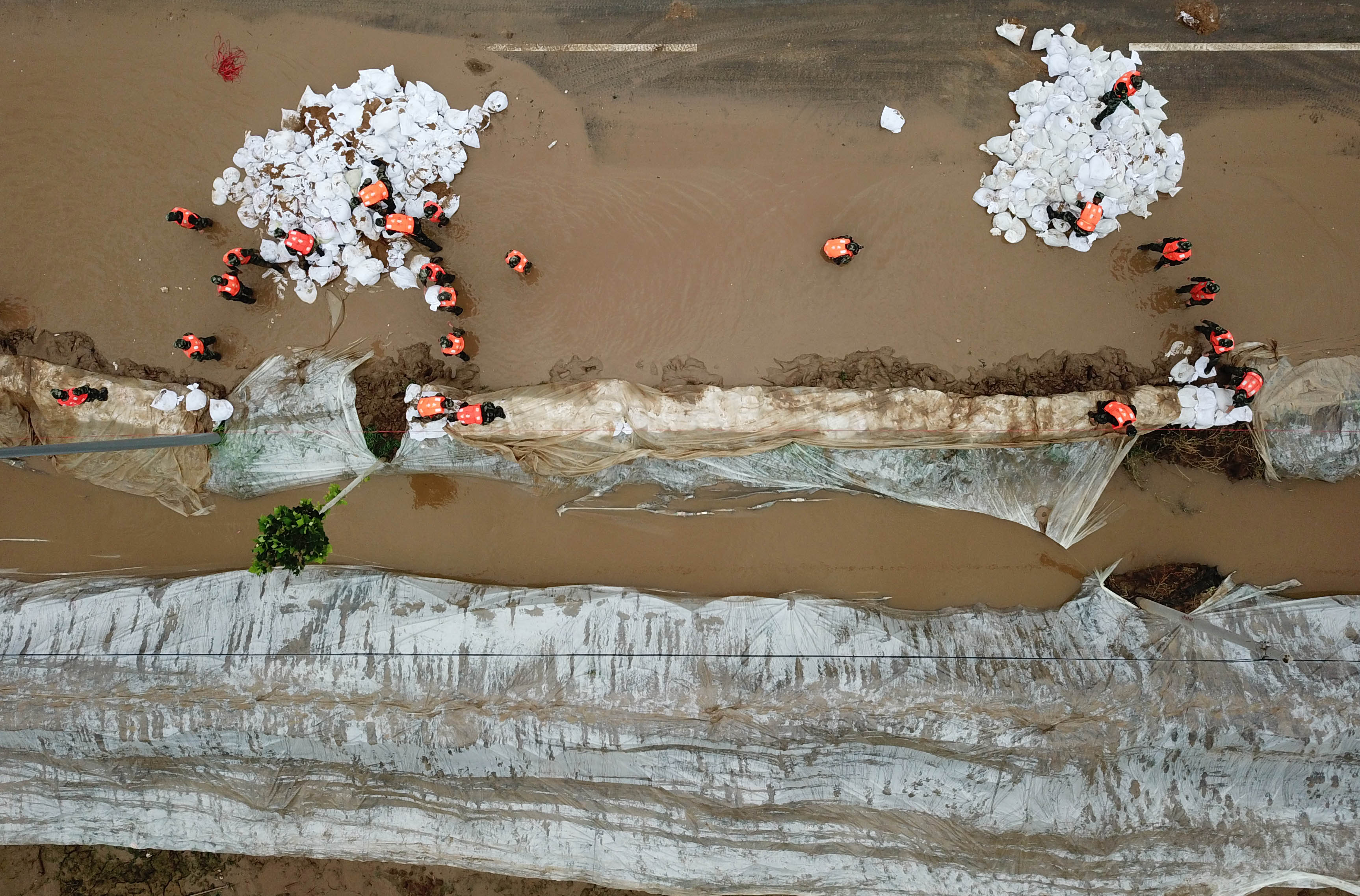 山东寿光洪涝灾区加快排水作业(4)
