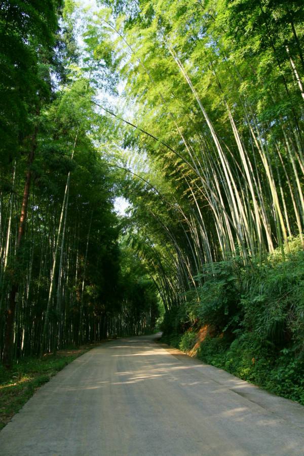 大竹县五峰山风景区图片