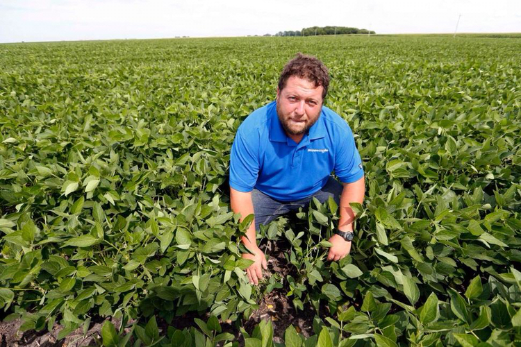 美媒:美国豆农在焦虑中等待,称"我们拥护自由贸易"美网友热议