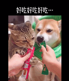 换一下就恶心到吐啊!我去!