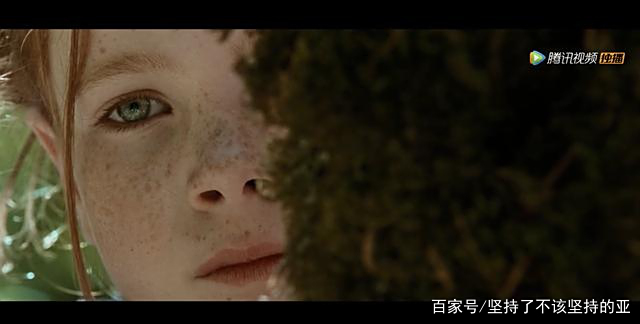 《狐狸与我》:看懂了爱情里的缘起缘灭,当狐狸离开的时候(上) 《狐狸与我》:看懂了爱情里的缘起缘灭,当狐狸离开的时候(上)