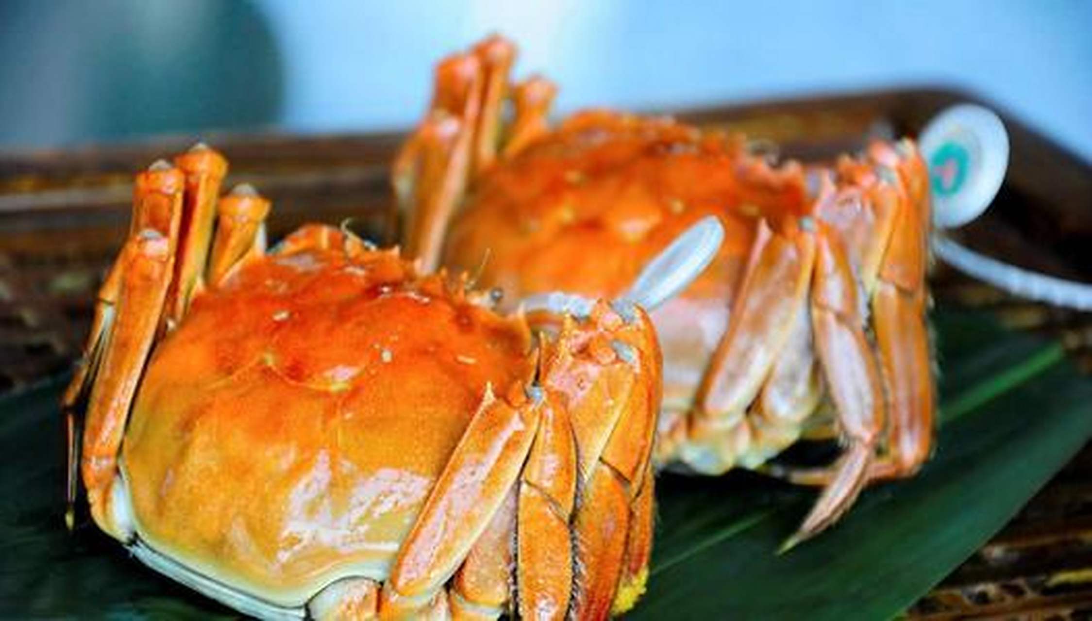 太湖的大闸蟹,不同的部位可以有不同的吃法.