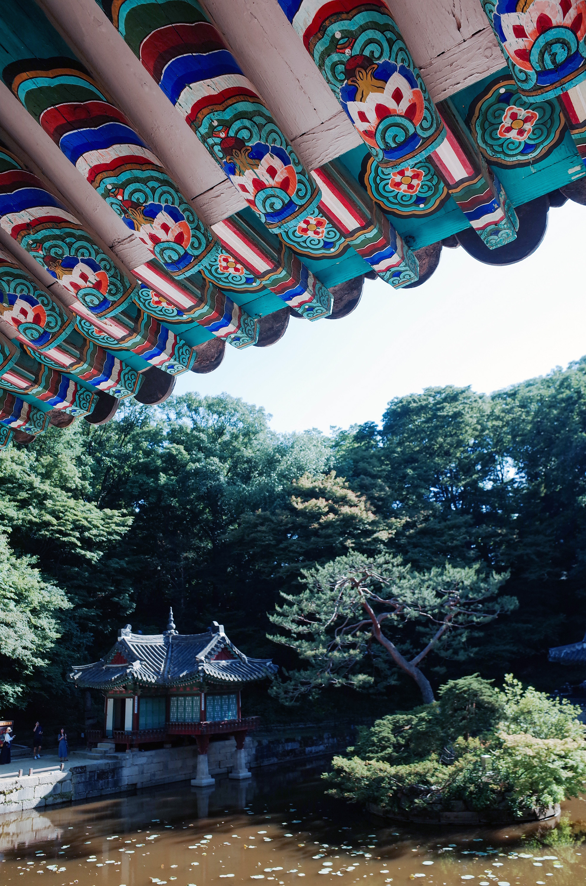 世界园林巡礼——韩国昌德宫(3)