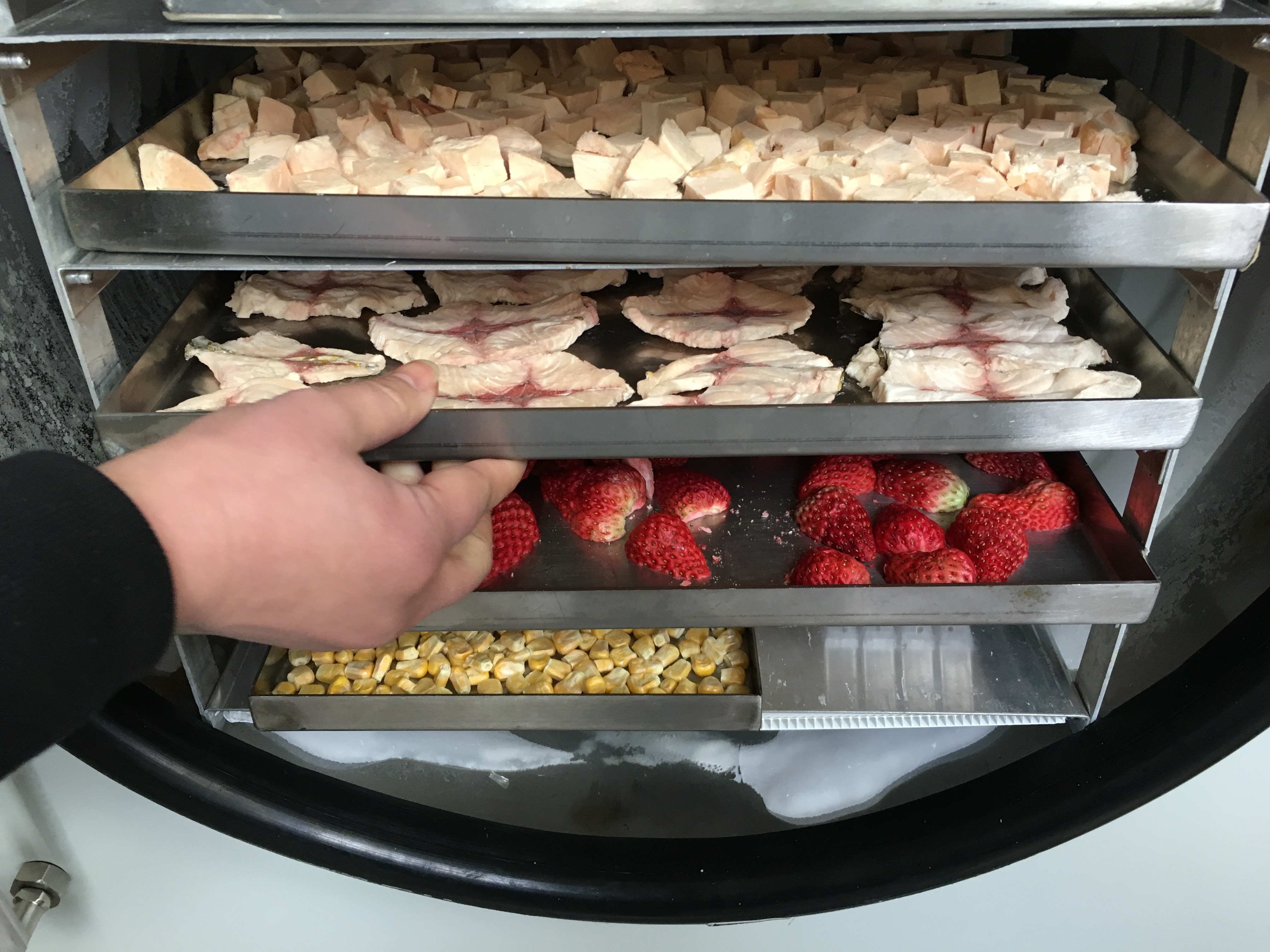 冻干- 热门商品专区