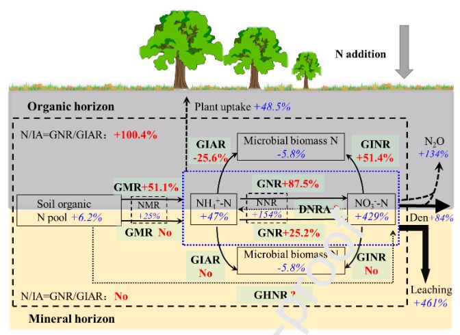 蔡祖聪教授课题组程谊副教授从氮素初级转化过程的视角系统剖析了全球