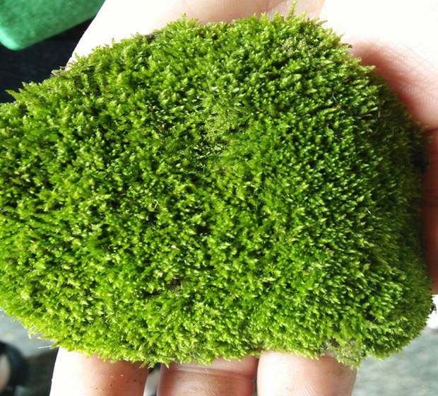 夏季养护 - 2020年最新商品信息聚合专区 - 百度爱采购