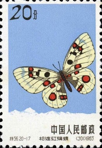 由邮票了解生物,翩翩起舞的精灵-蝴蝶