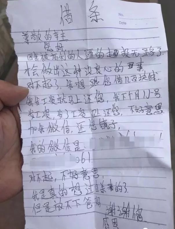 偷鲨鱼算什么,这里有小偷搞笑排行榜,美国那位同行你反省一下