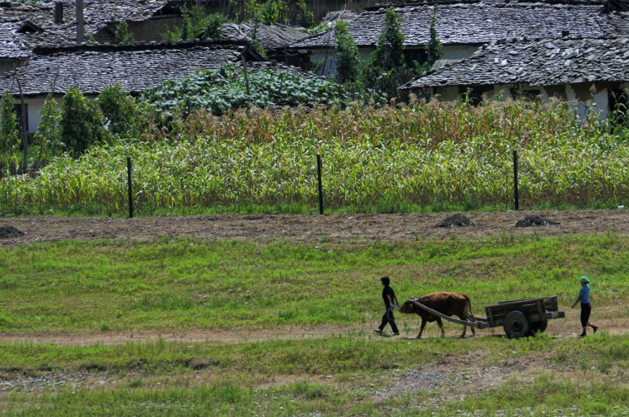 朝鲜视觉:实拍朝鲜农村劳动人民的生活现状!