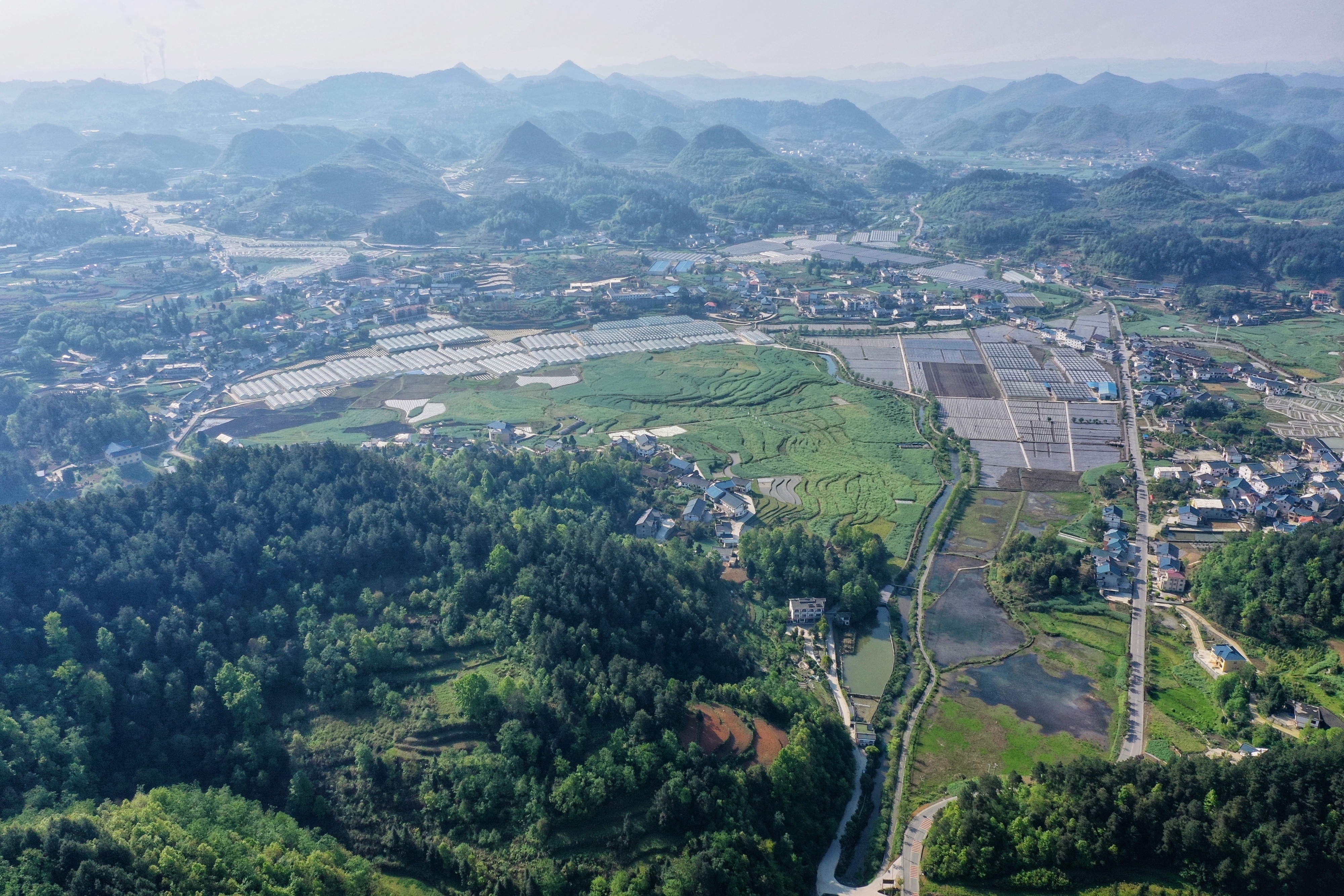 贵州花茂村:花繁叶茂展新颜(2)