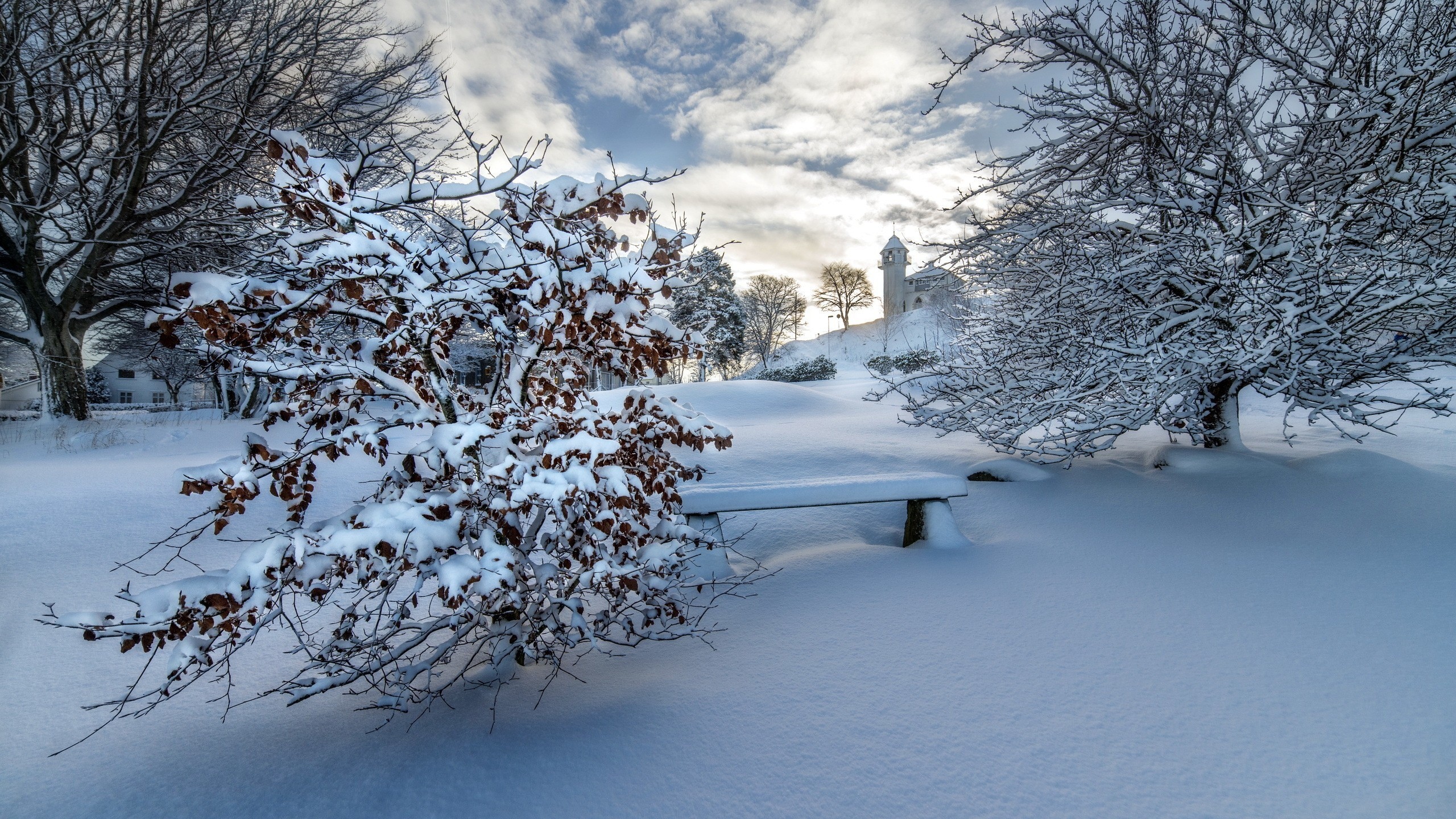 唯美浪漫的冬至雪景,高清壁纸,风景电脑高清壁纸