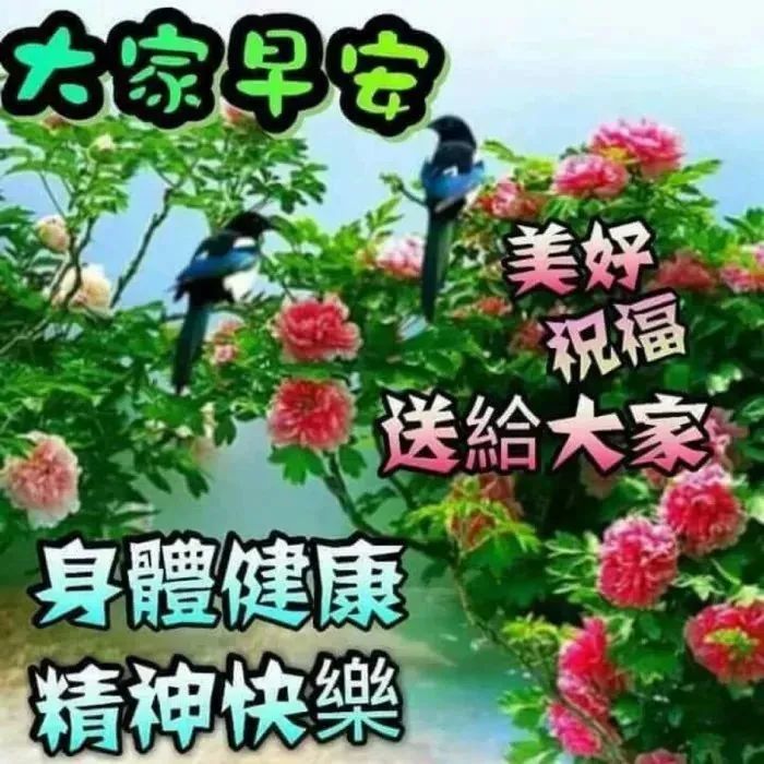 清晨暖心的早上好问候短信,最新好看的早安唯美图片带字!