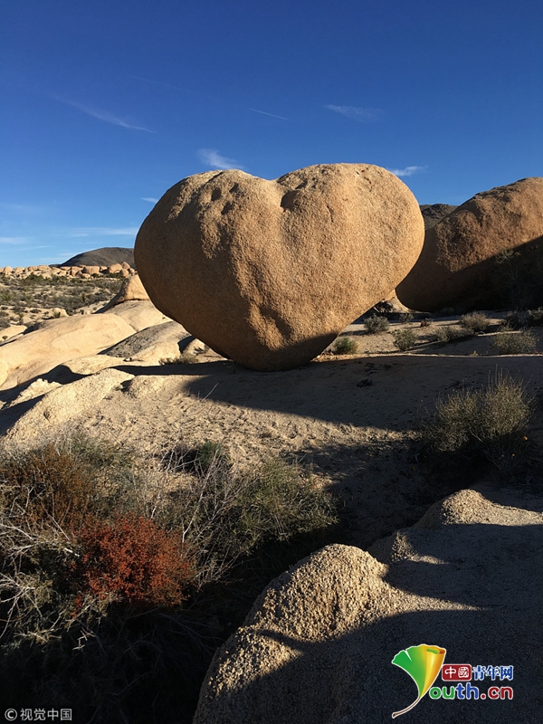 美国一国家公园现美丽心形石 大自然鬼斧神工令人称奇