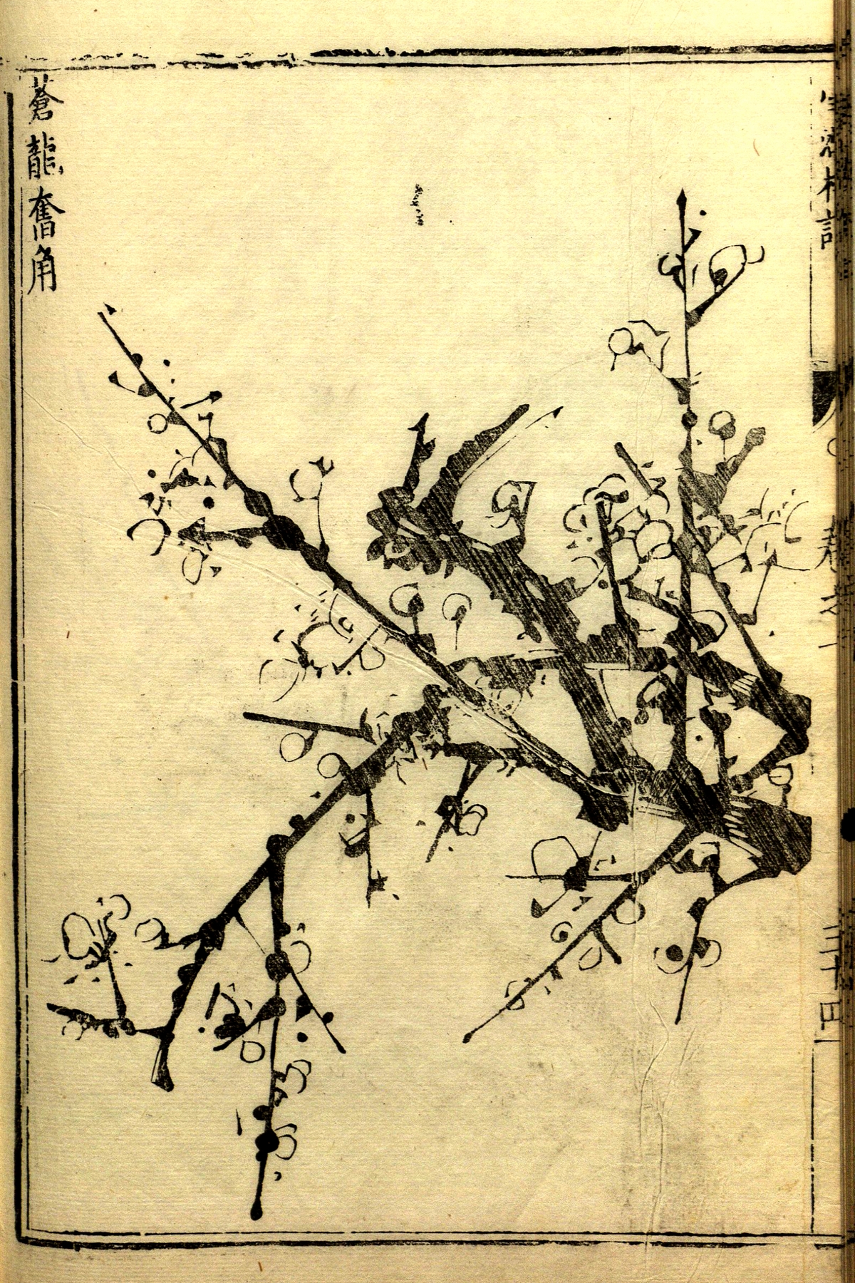 又一组梅花画谱!老树虬枝,苍劲高洁!