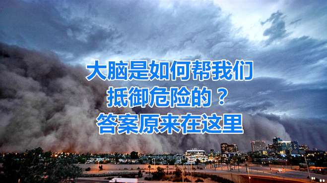 [图]大脑是如何帮助我们抵御危险的？答案原来在这里