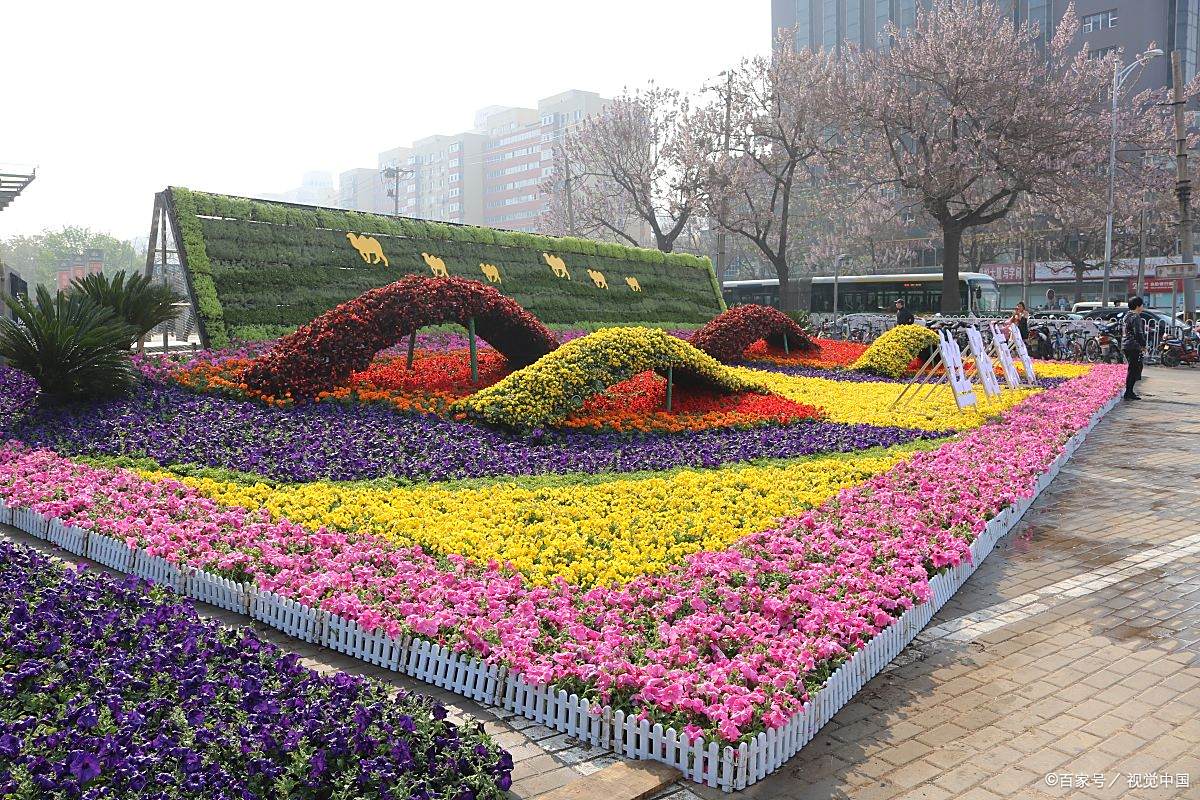 三年级上第6单元满分作文《这儿真美》10篇